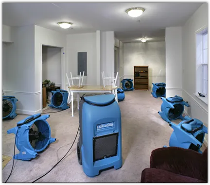 Odor Removal & Deodorization in Estelle, LA