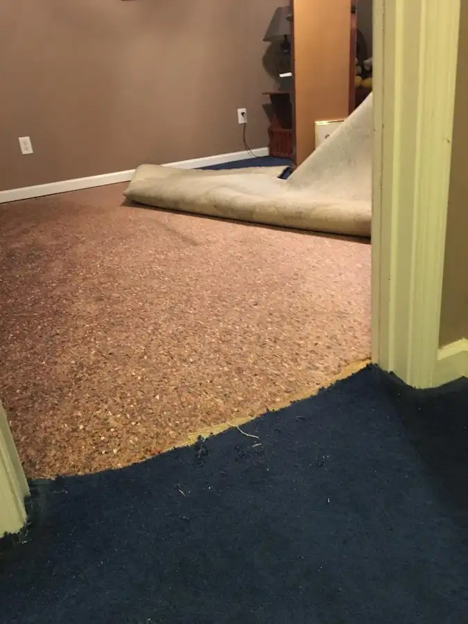 Carpet pad removal revealing water damage during Drying & Dehumidification in Estelle