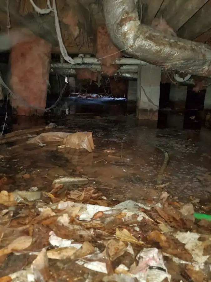 Crawl space flood assessment for Leak Detection & Repair in Estelle