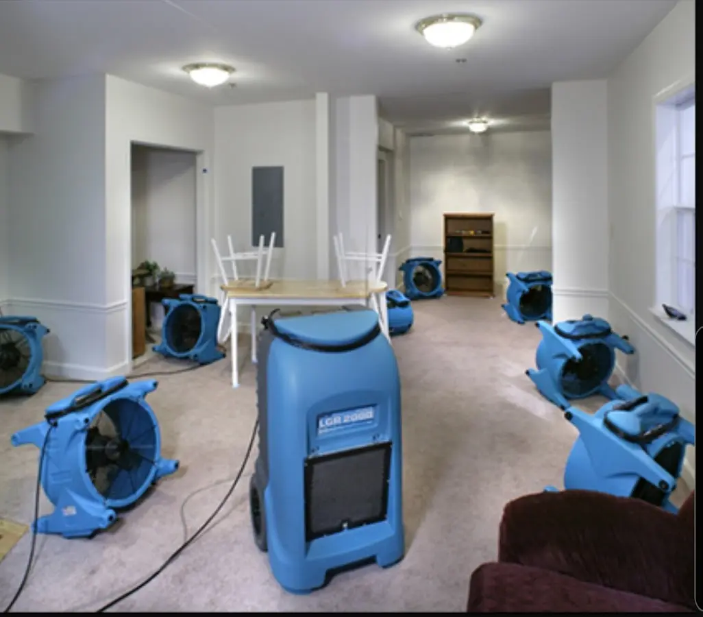 Air movers and dehumidifier setup for Water Extraction & Removal in Estelle