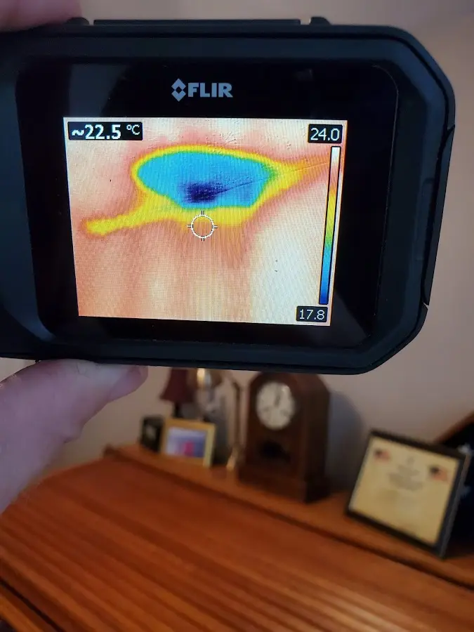 Thermal imaging inspection for water damage in Estelle
